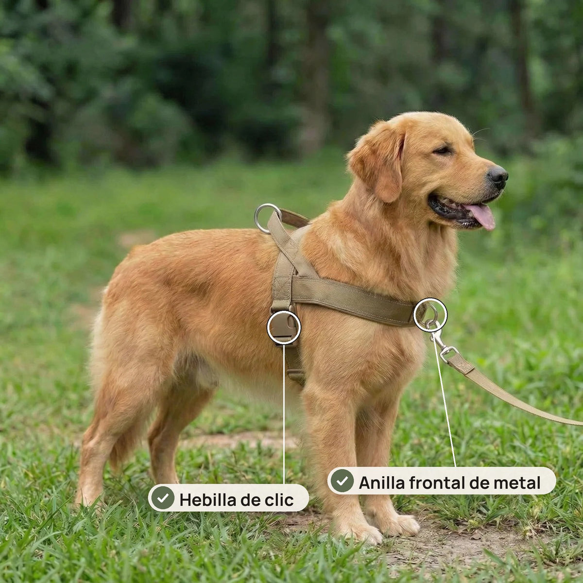 Anilla frontal de metal y hebilla de clic del arnés Doglivo